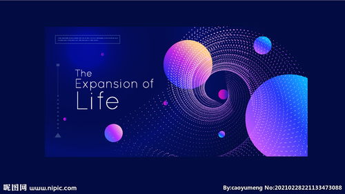 新品發布會盛典即將啟幕