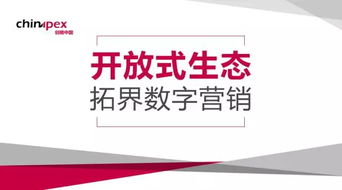 營銷視角下程序化行業的開放 技術咨詢的深層剖析