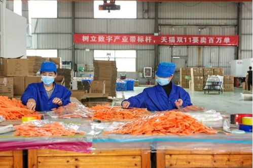 天貓雙11開門紅 產業帶廠貨成交額同比激增1700%，餐飲服務迎來消費新熱潮